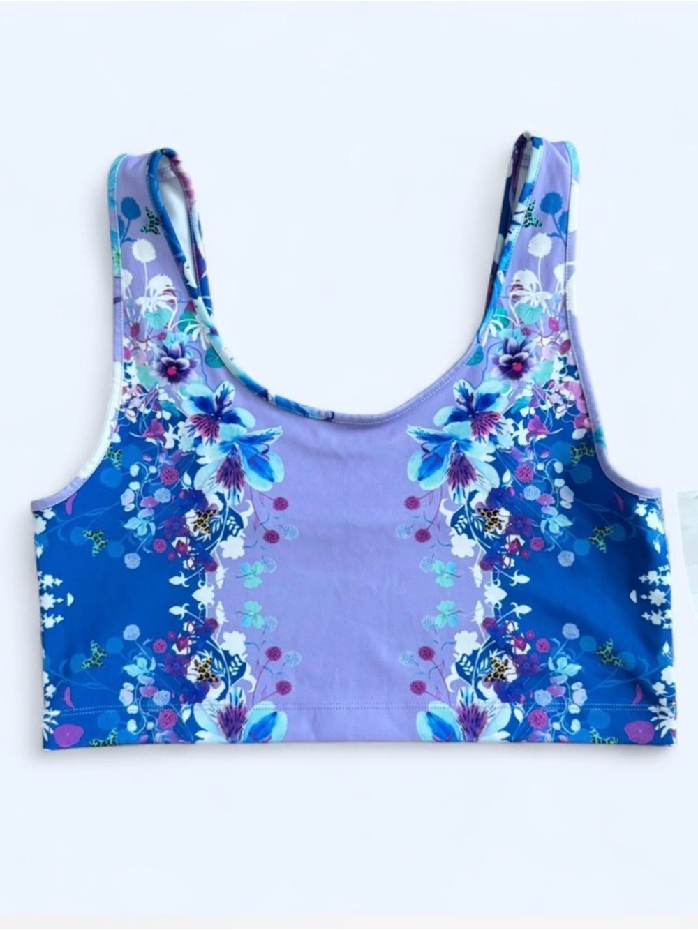 American Eagle Outfitters Purple and Blue Floral Crop Top